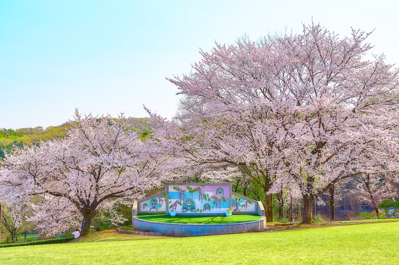 藤岡市の桜スポット