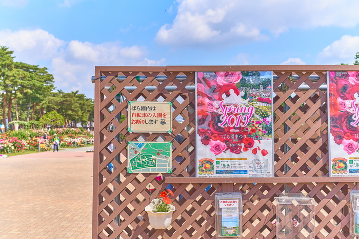 敷島公園ばら園 2019・春 -群馬県前橋市