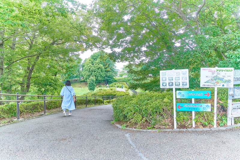 荻窪公園 -群馬県前橋市